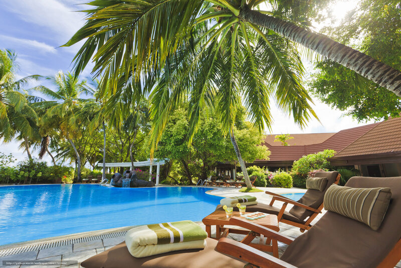 Tropical poolside relaxation