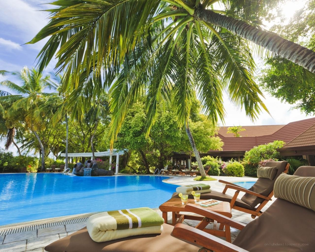 Tropical poolside relaxation