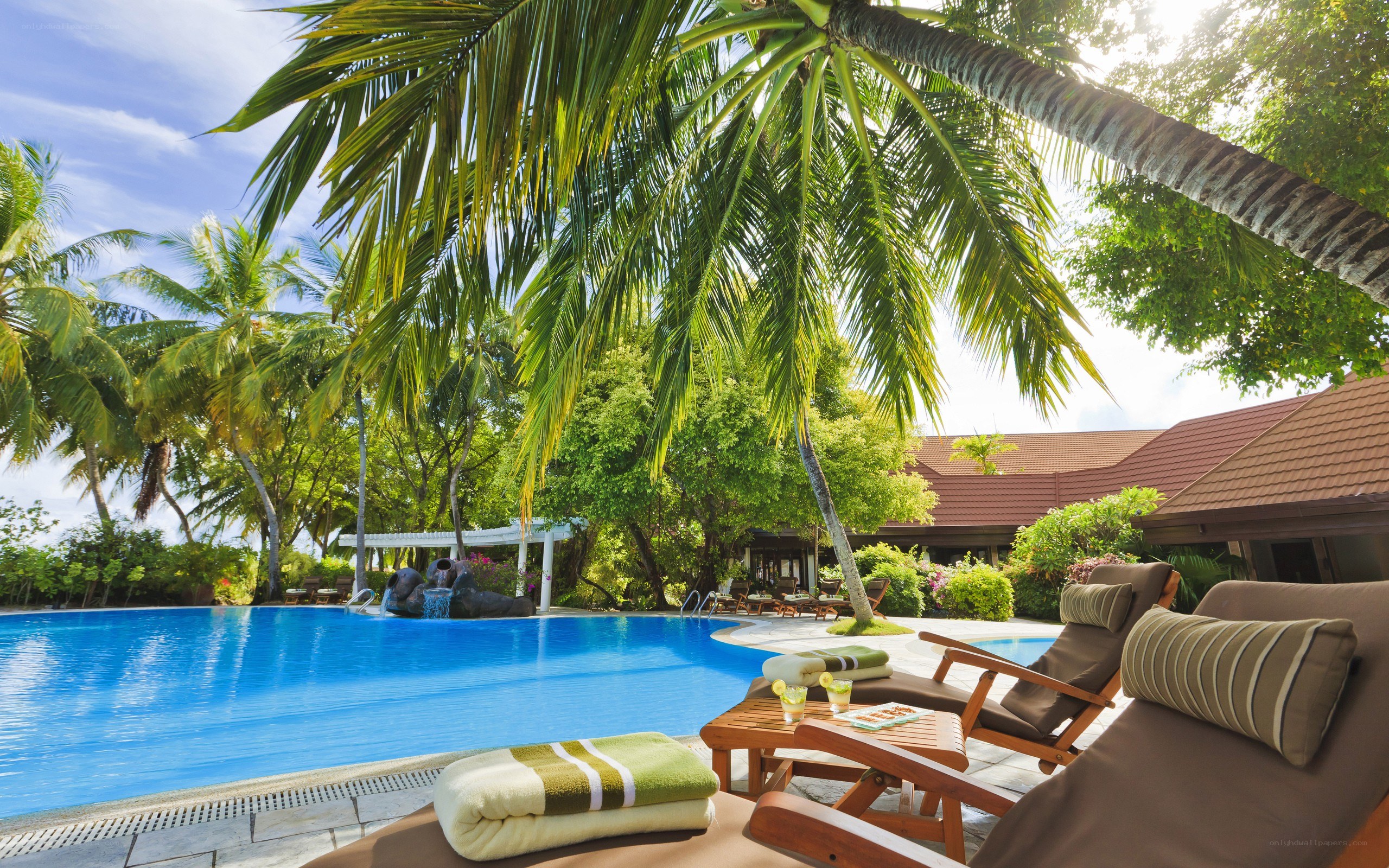 Tropical poolside relaxation