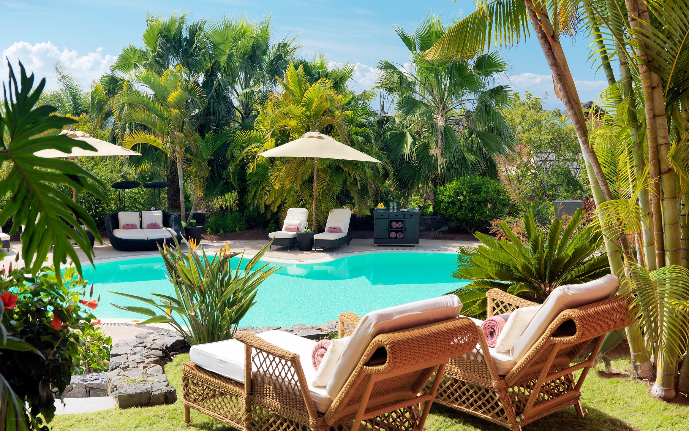 Tropical poolside relaxation