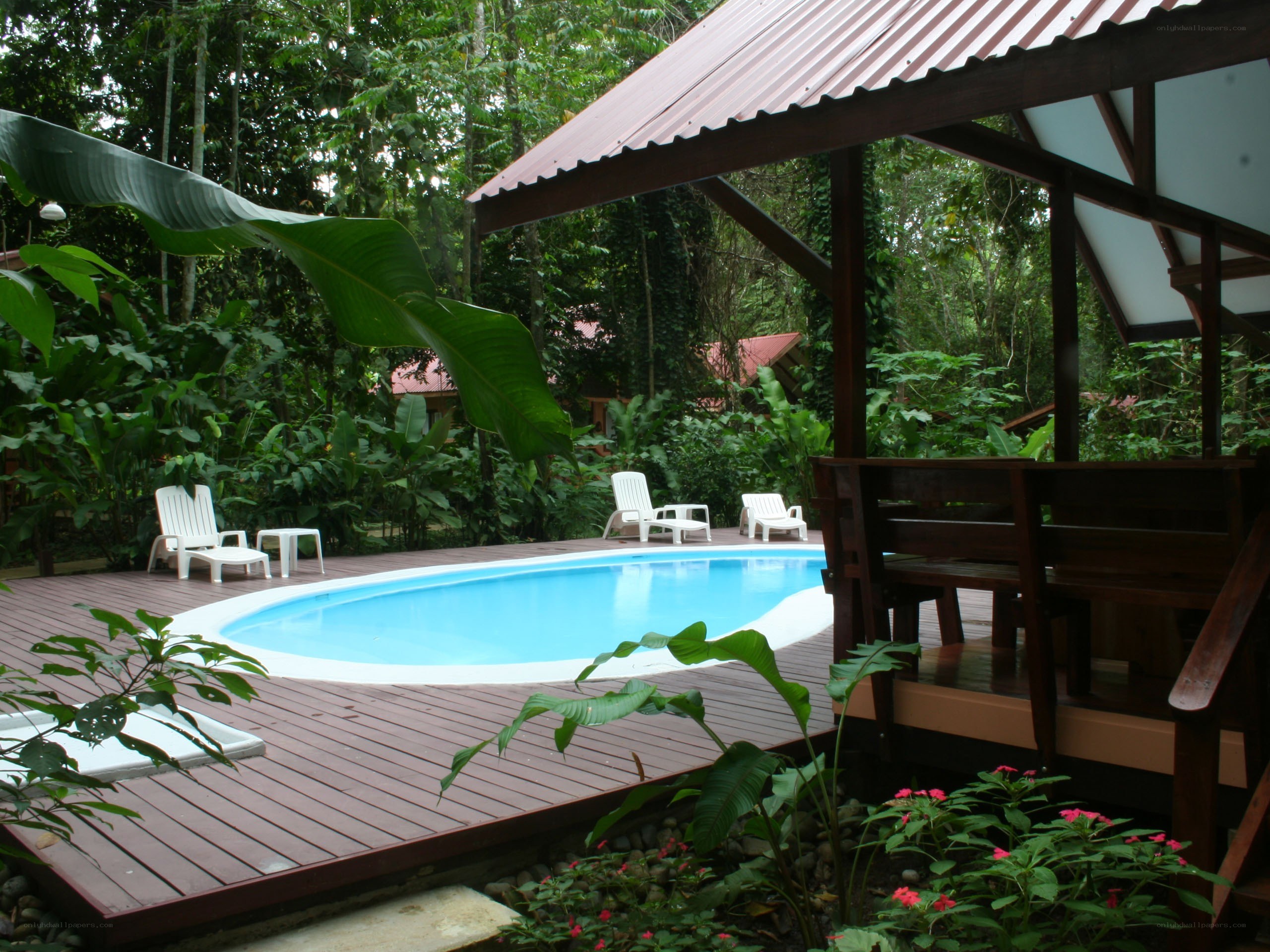 Tropical poolside retreat