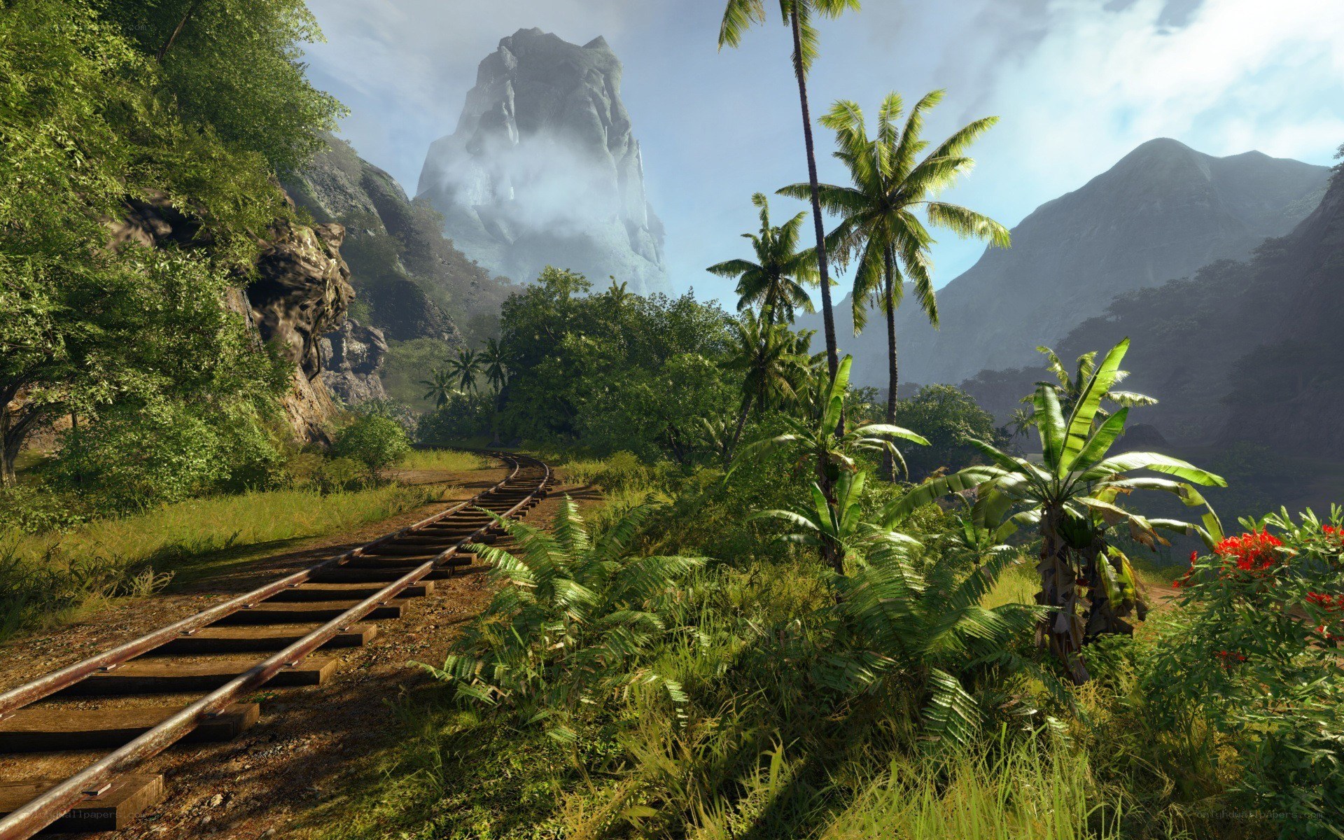tropical railway in mountain valley