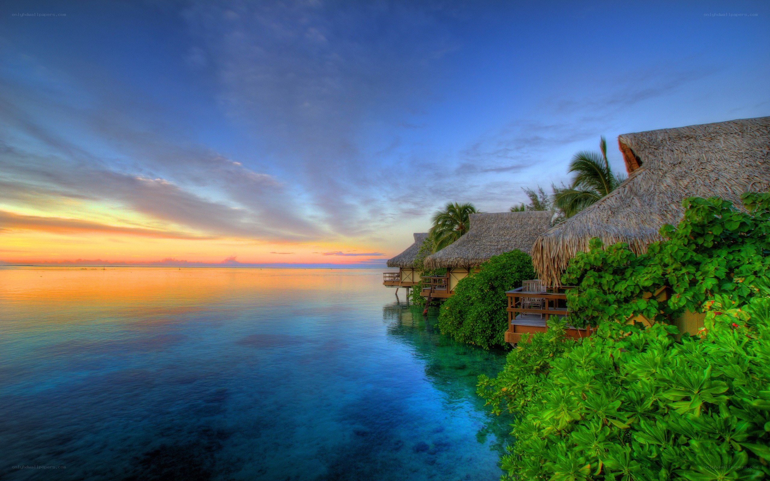 Tropical resort at sunset