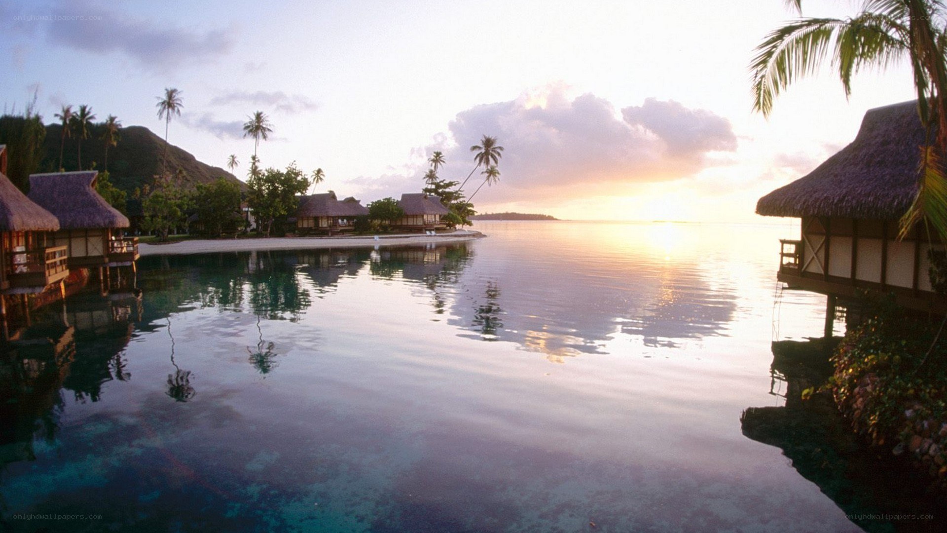 tropical resort at sunset