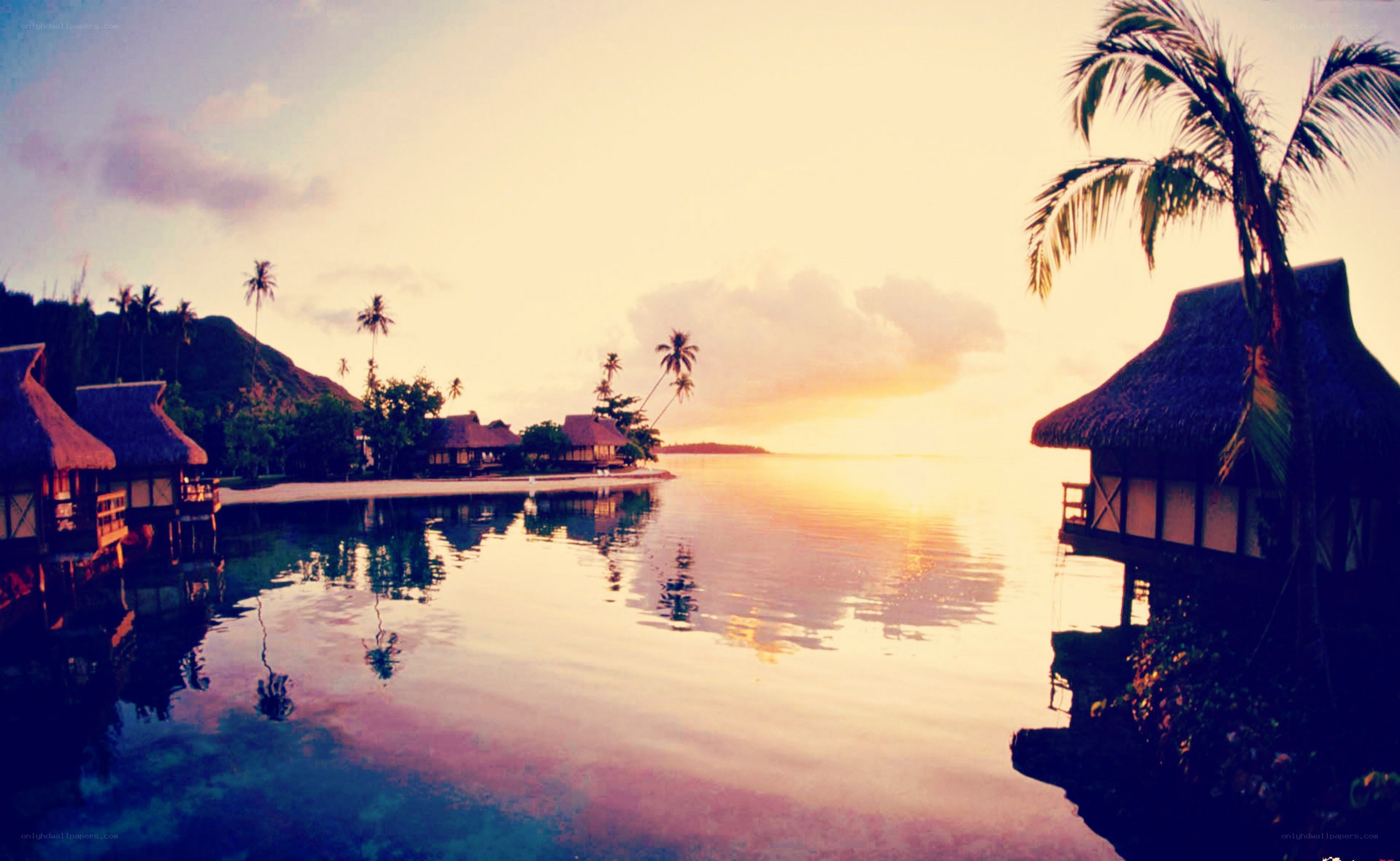 tropical resort at sunset
