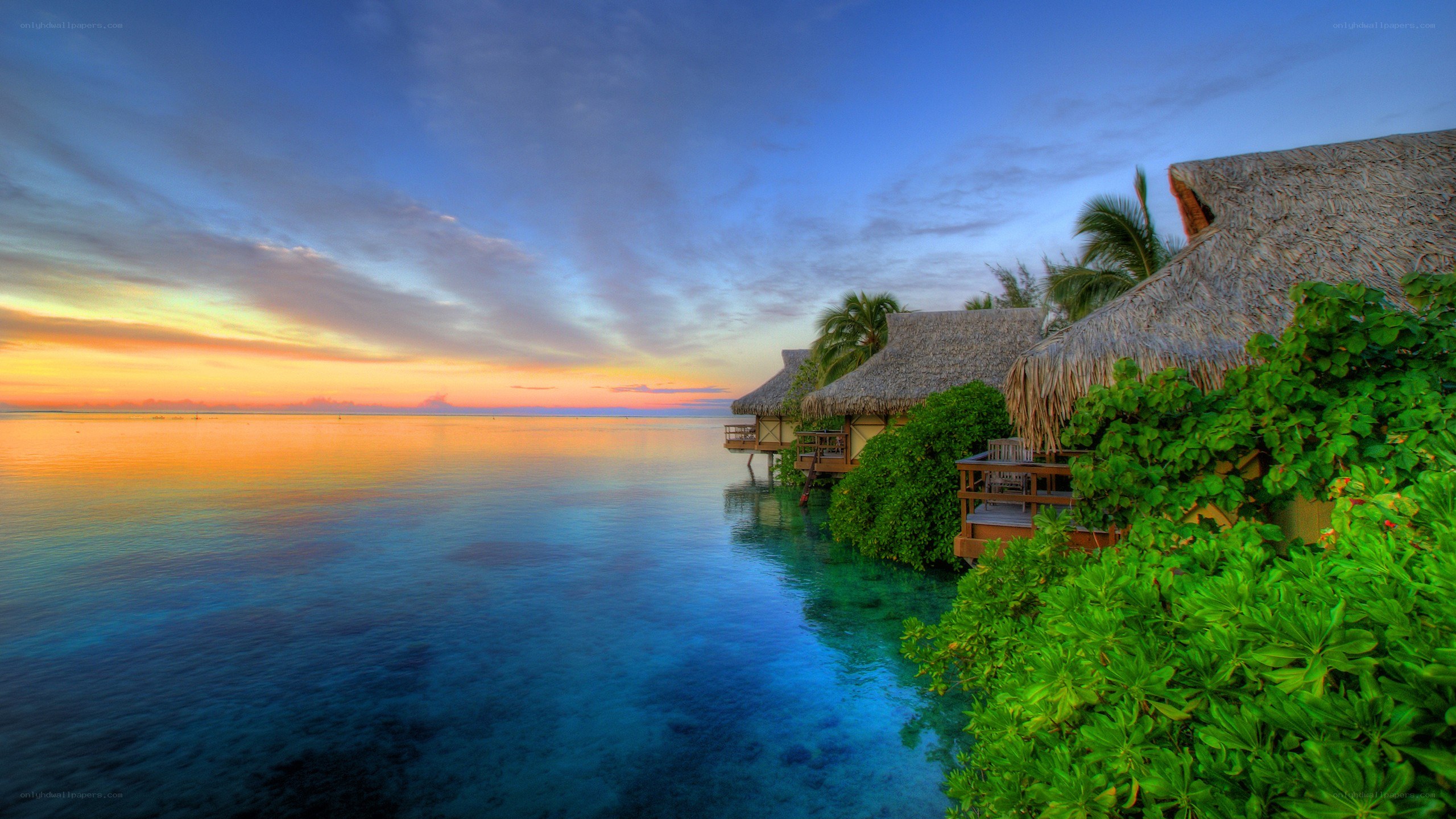 tropical resort at sunset