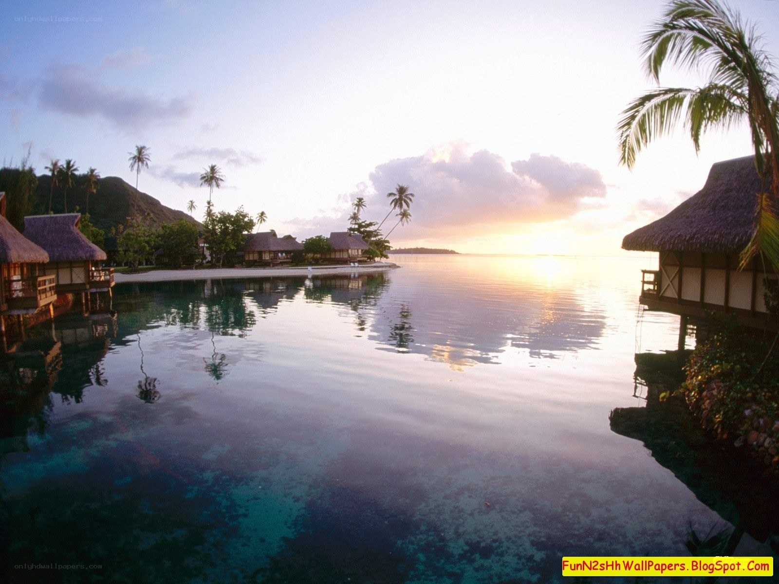 tropical resort at sunset