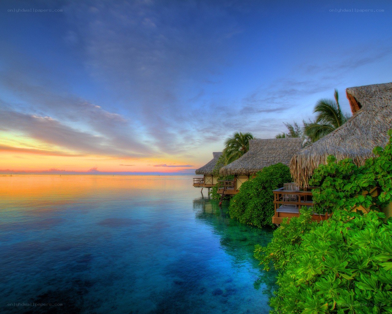 Tropical resort at sunset