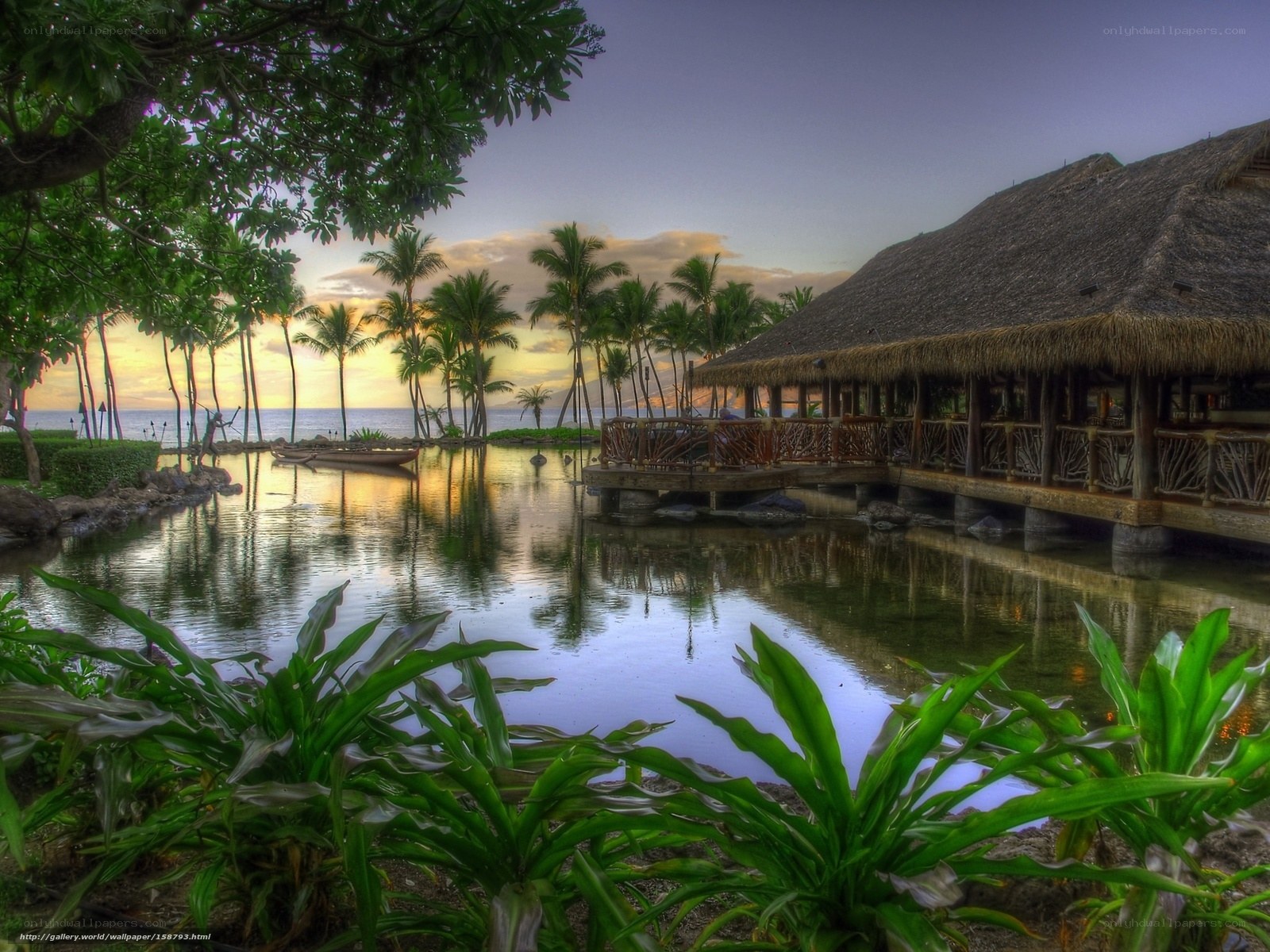 Tropical resort at sunset