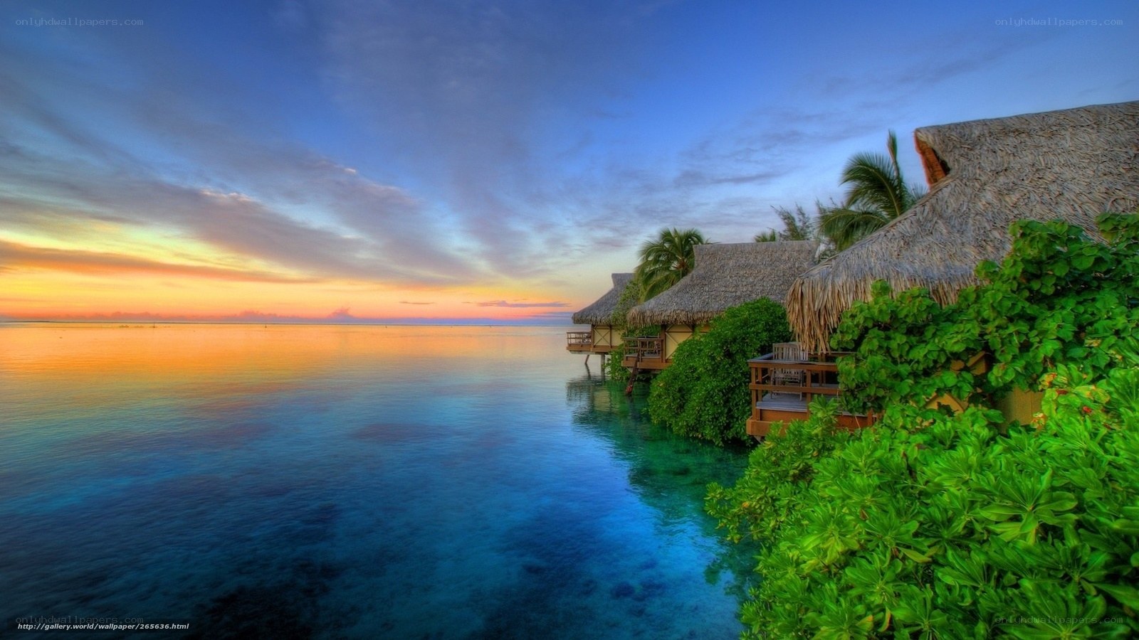 Tropical resort at sunset