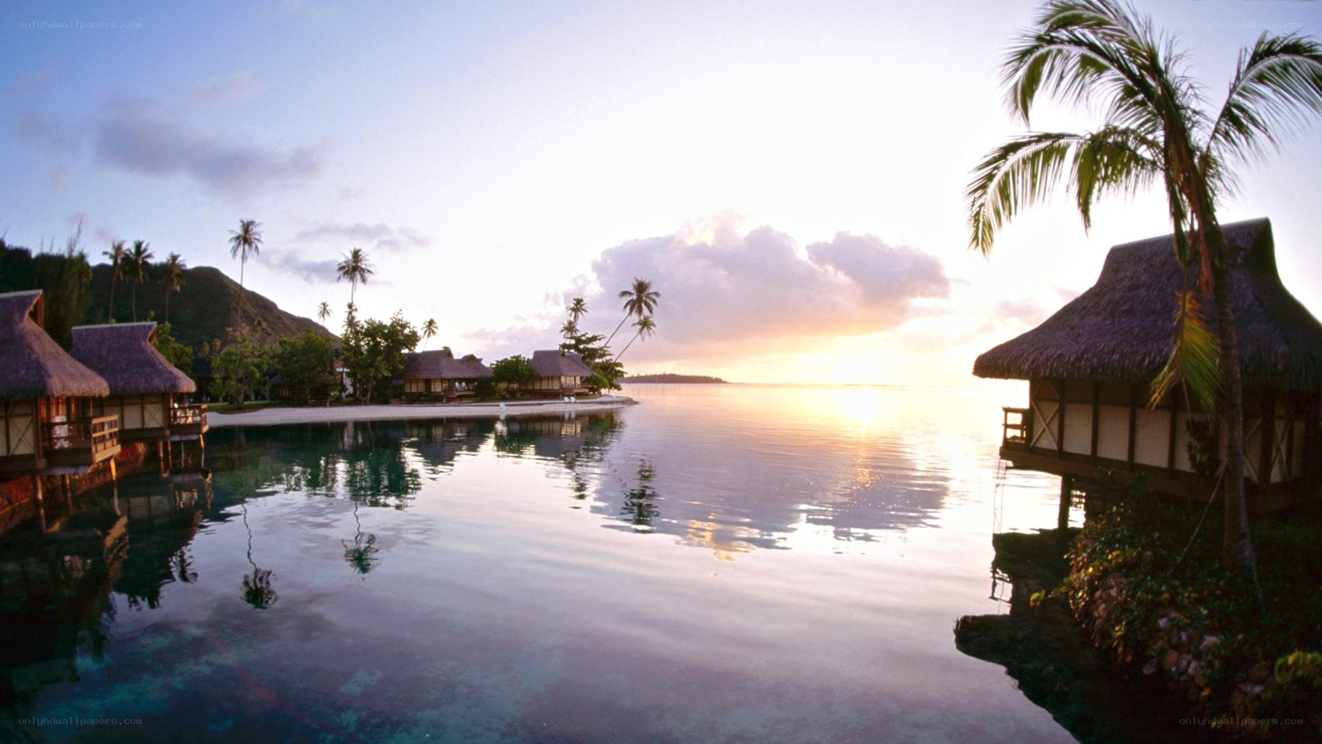 Tropical resort at sunset