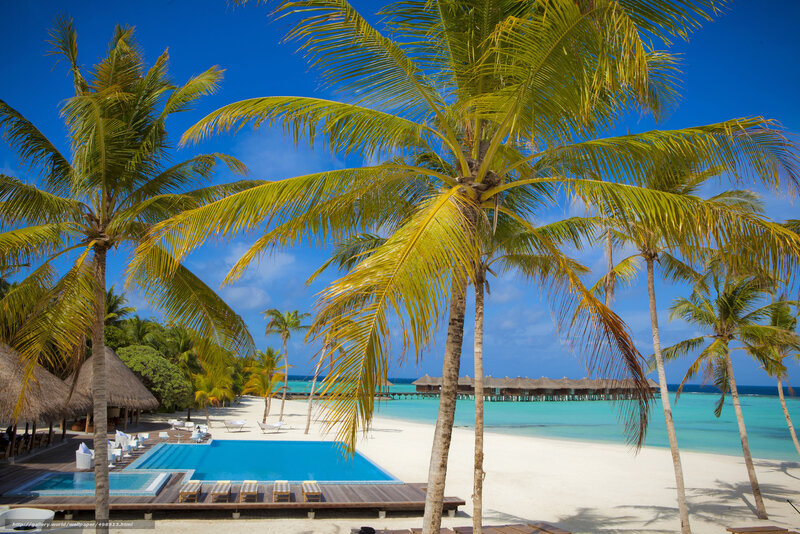 Tropical Resort Beach — Blue, Serene