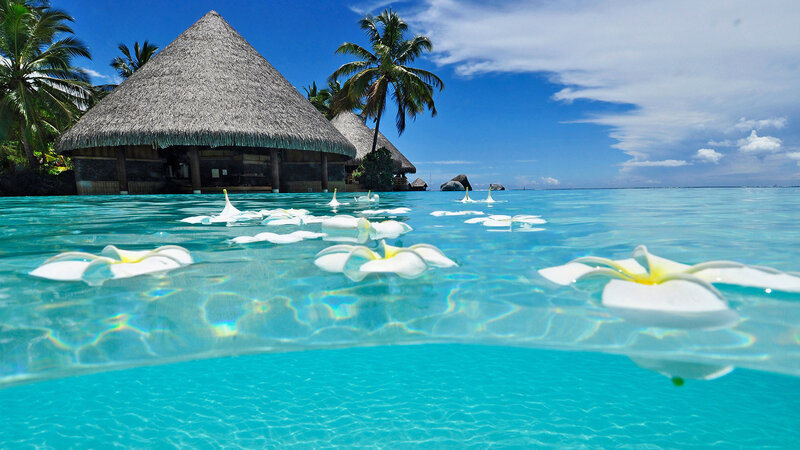 Tropical Resort Bungalow — Blue