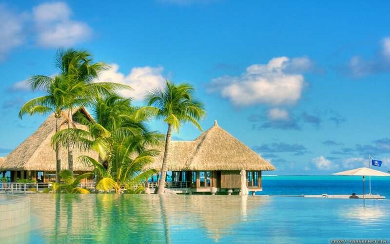 Tropical Resort Bungalows — Blue, Serene, Afternoon, Photograph, Palm Trees, Infinity Pool