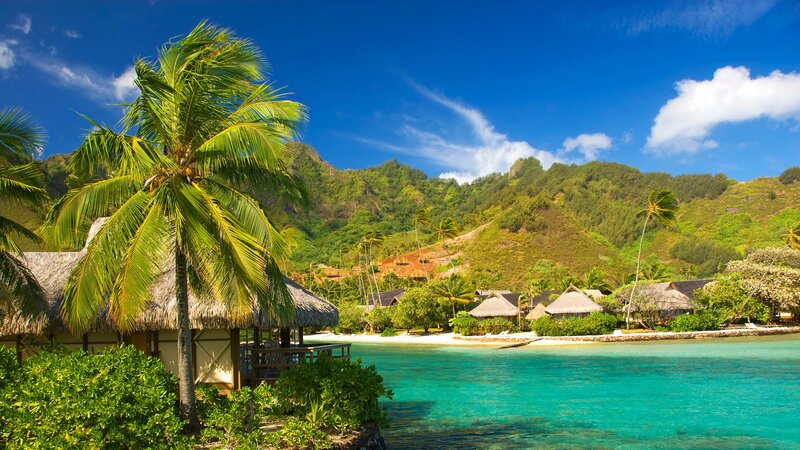Tropical Resort Bungalows — Blue, Serene, Afternoon, Photograph, Palm Trees