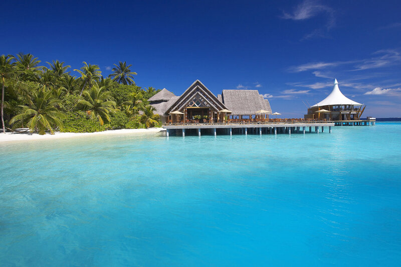 Tropical Resort Island — Blue, Serene, Afternoon, Photograph, Palm Trees