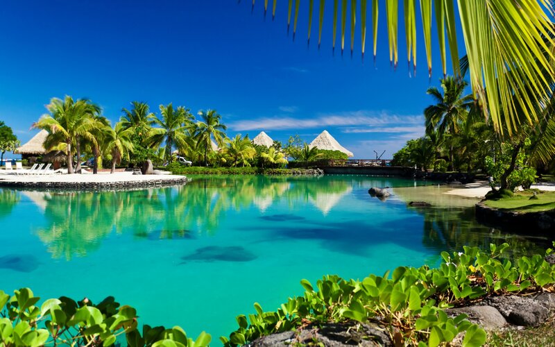 Tropical Resort Lagoon — Blue, Serene, Afternoon, Photograph, Palm Trees