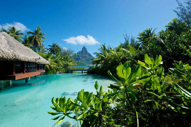 Tropical Resort Lagoon — Blue, Serene