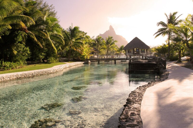 Tropical Resort Lagoon — Green