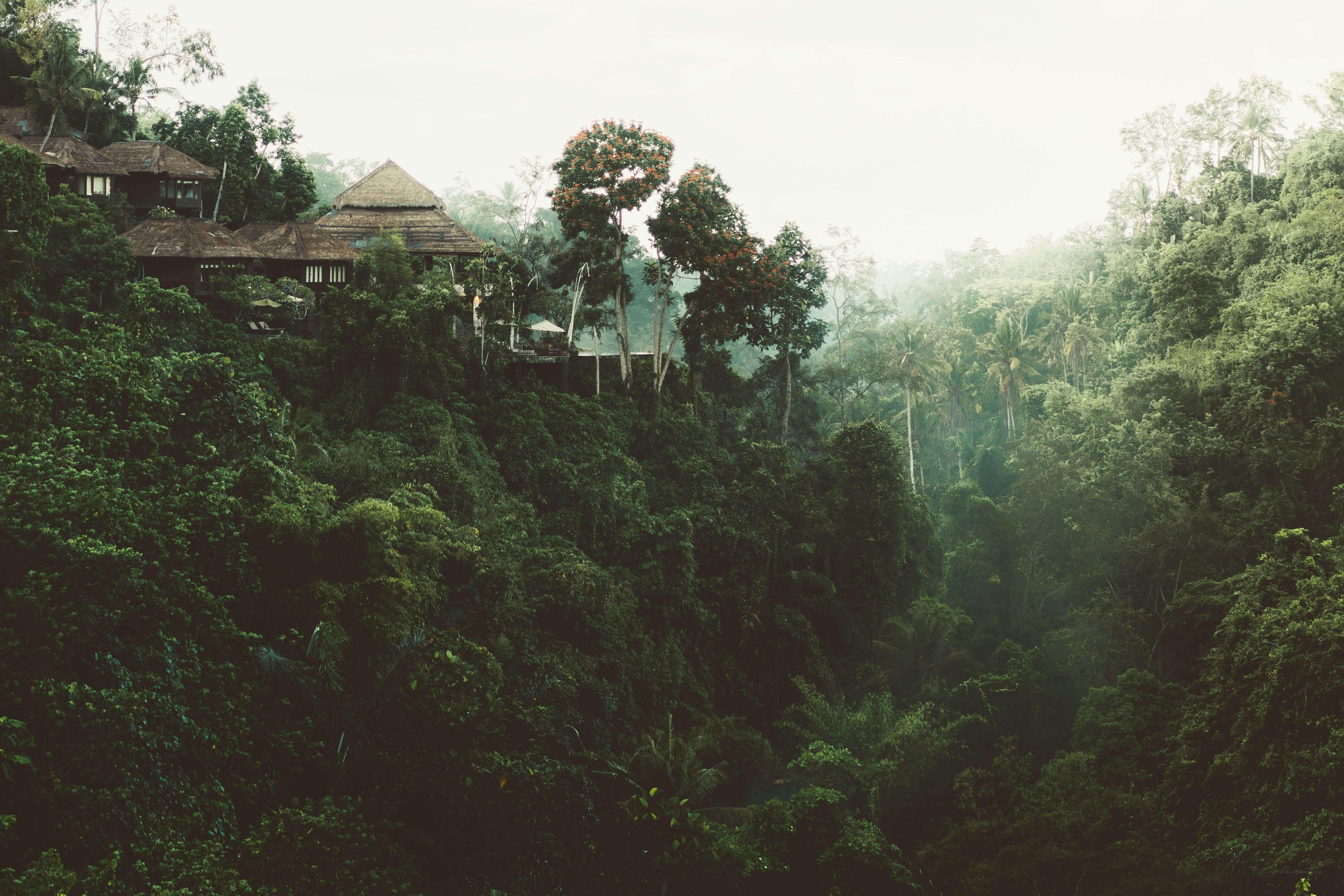 Tropical resort nestled in jungle