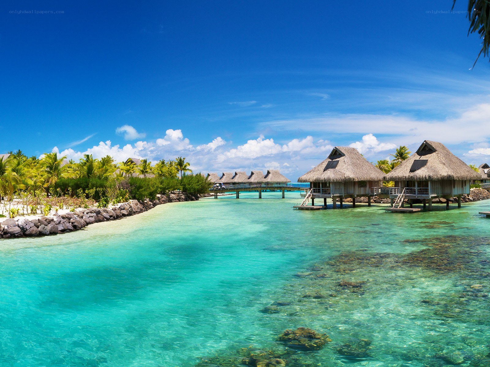 Tropical resort over clear water