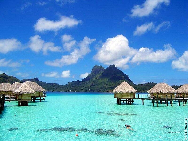 Tropical resort over turquoise water