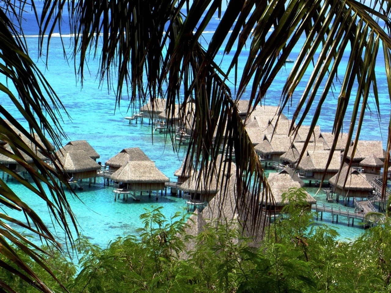 Tropical resort over water