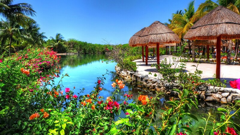 Tropical Resort Pond — Blue