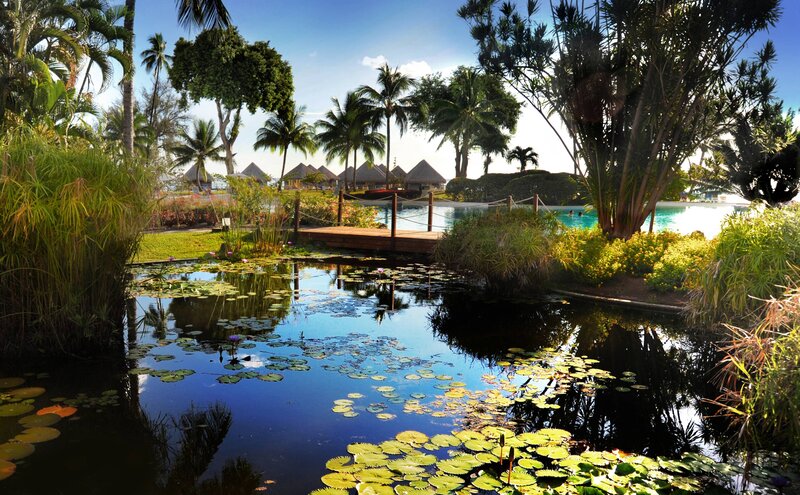 Tropical Resort Pond