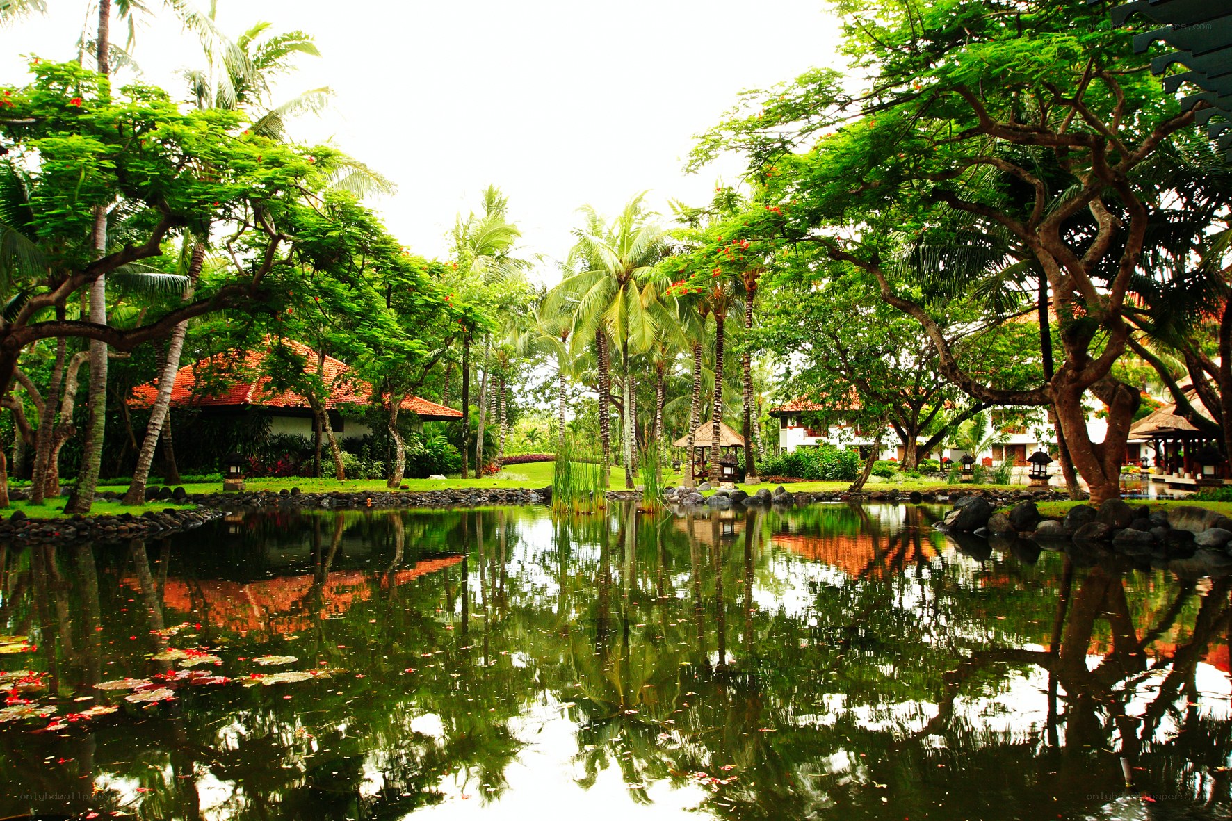 Tropical resort pond with reflections
