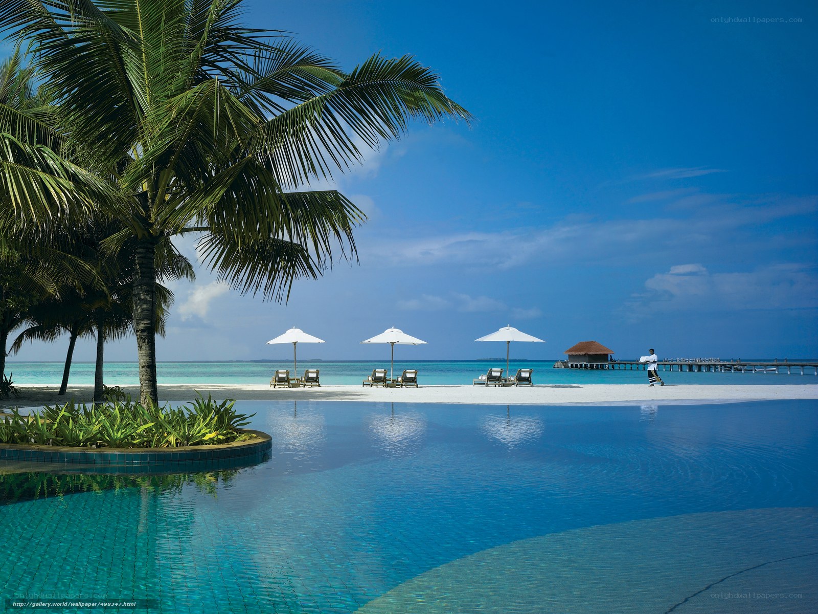 tropical resort pool and beach