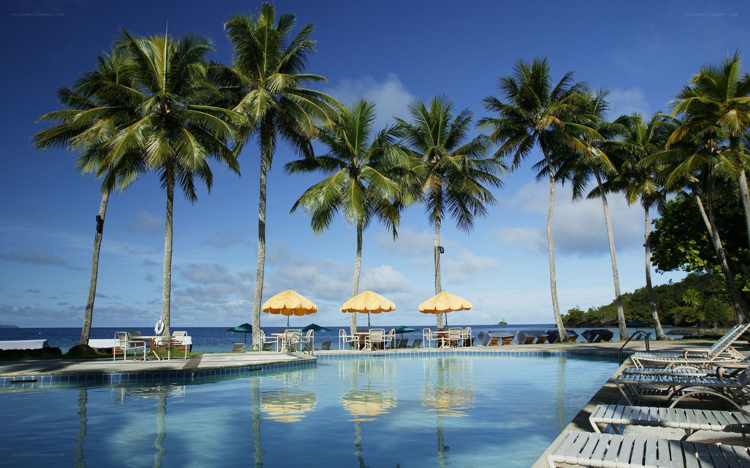 tropical resort pool and beach