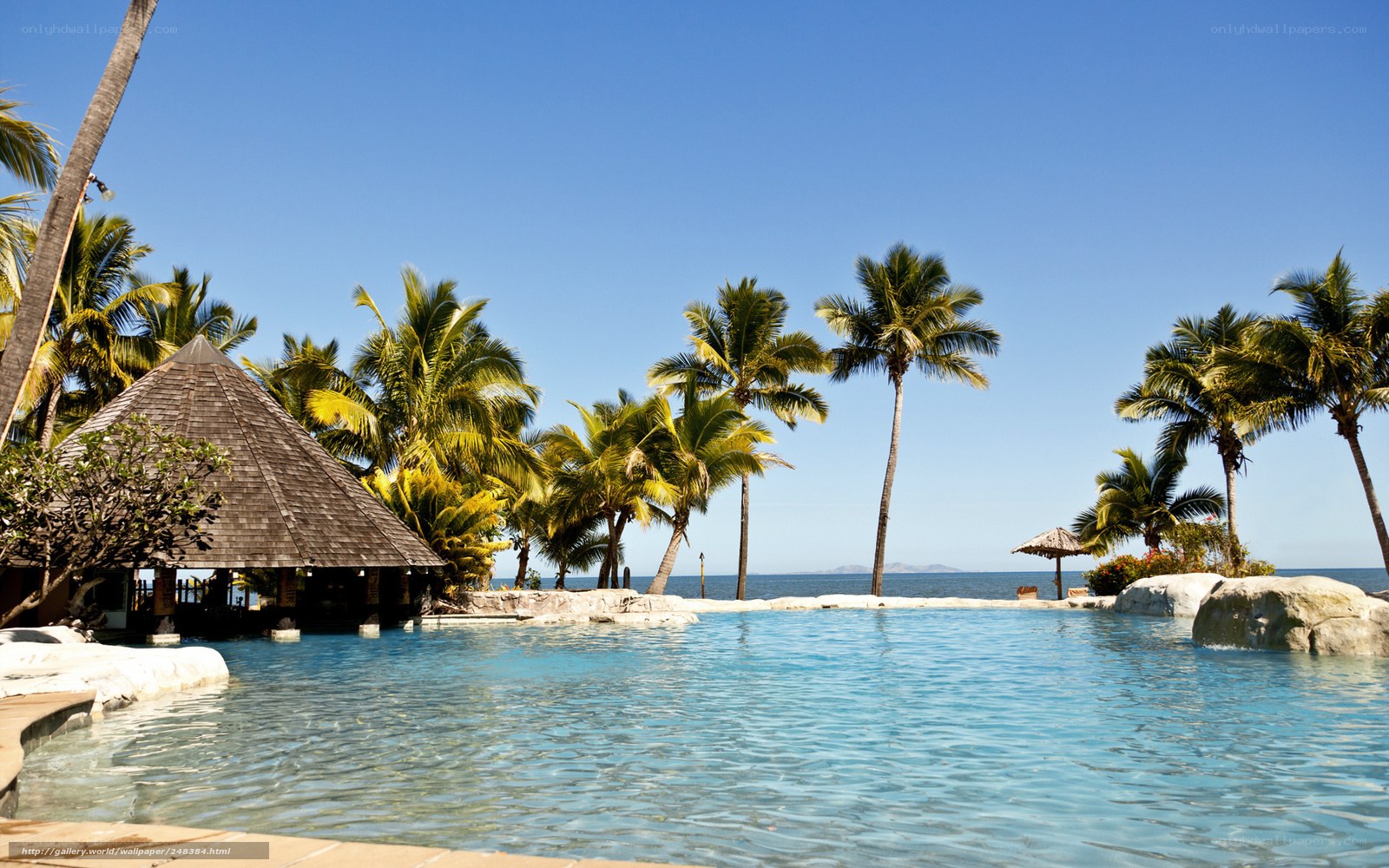 tropical resort pool and palm trees
