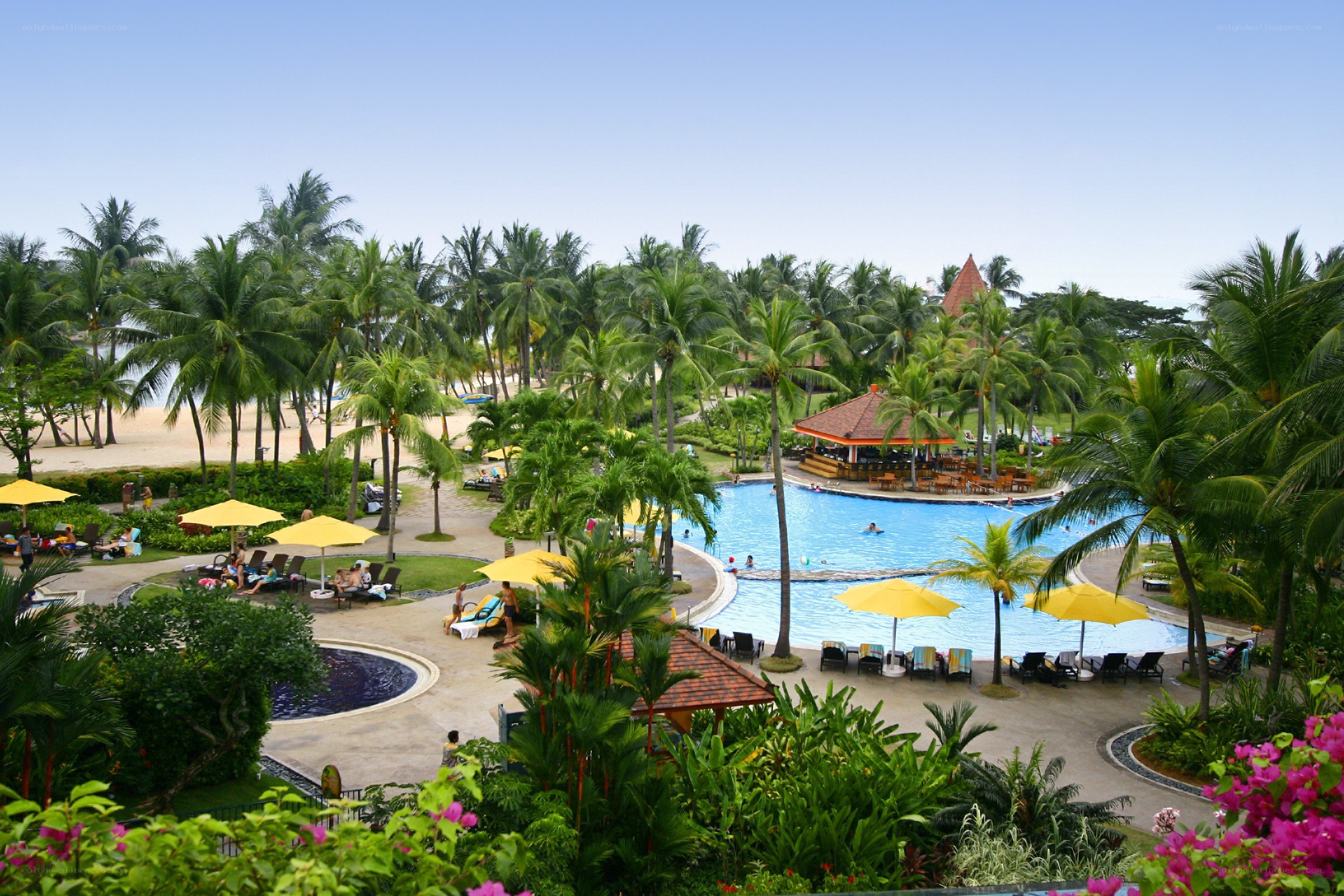 tropical resort pool area