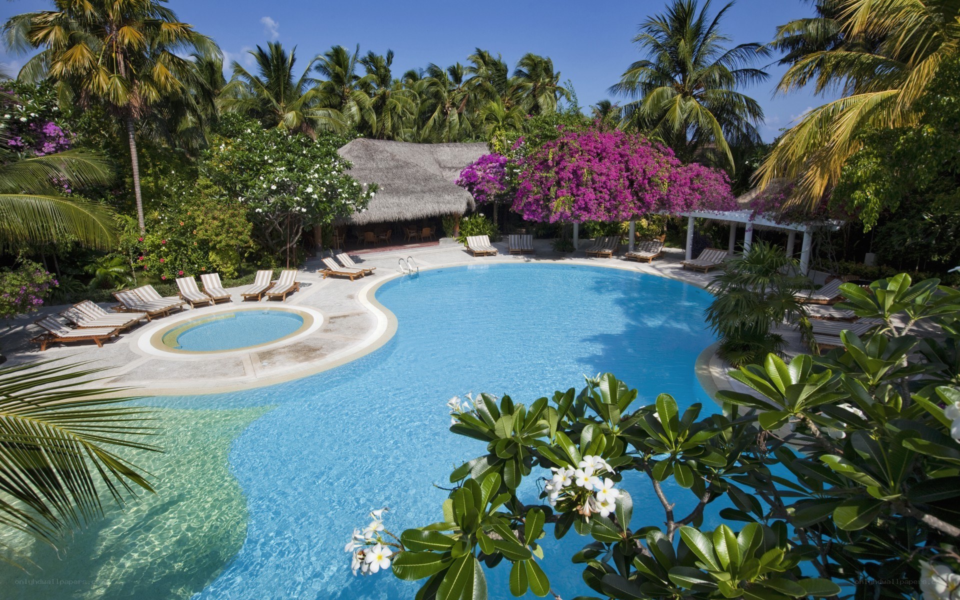 Tropical resort pool area