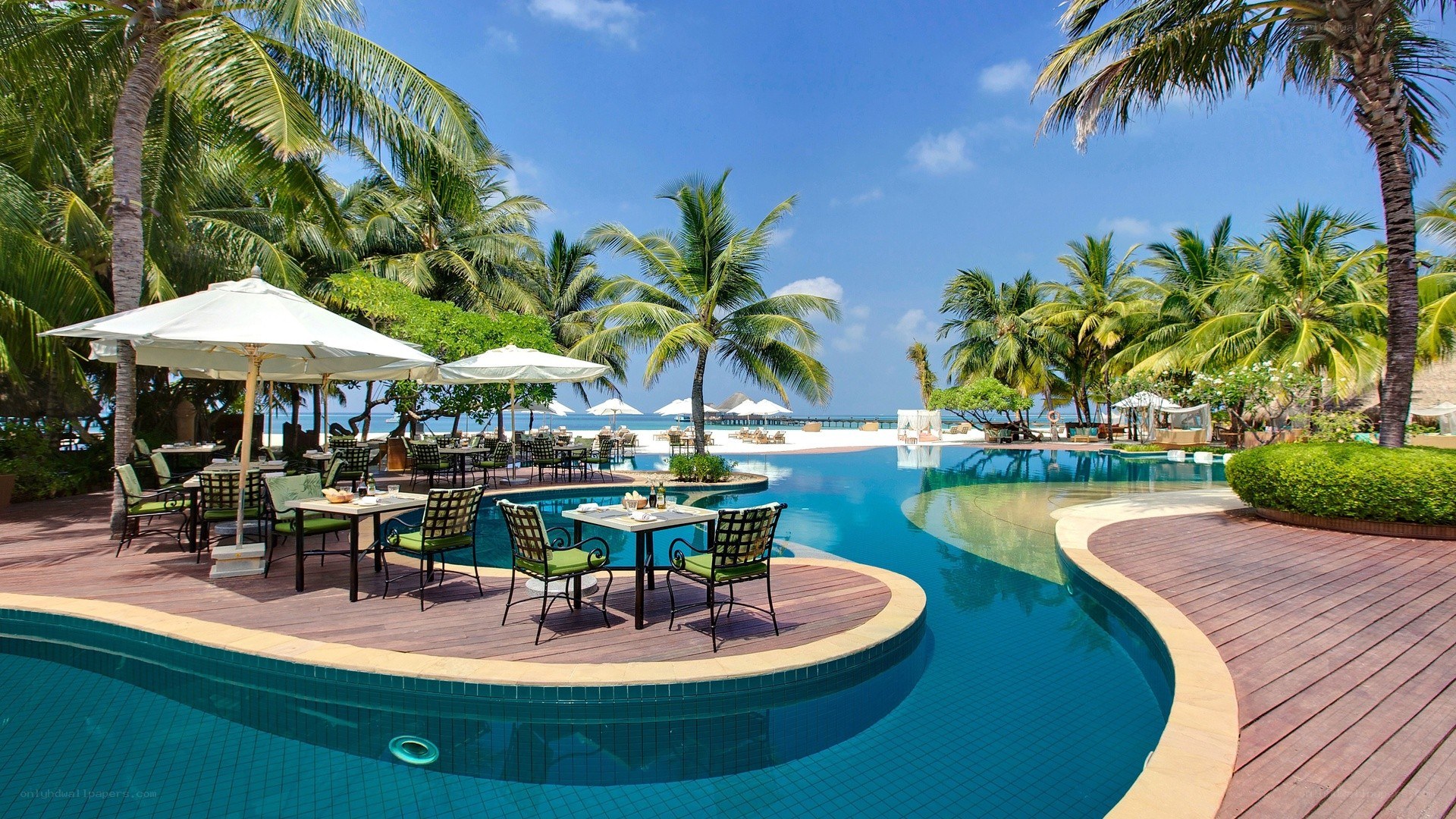 tropical resort pool area