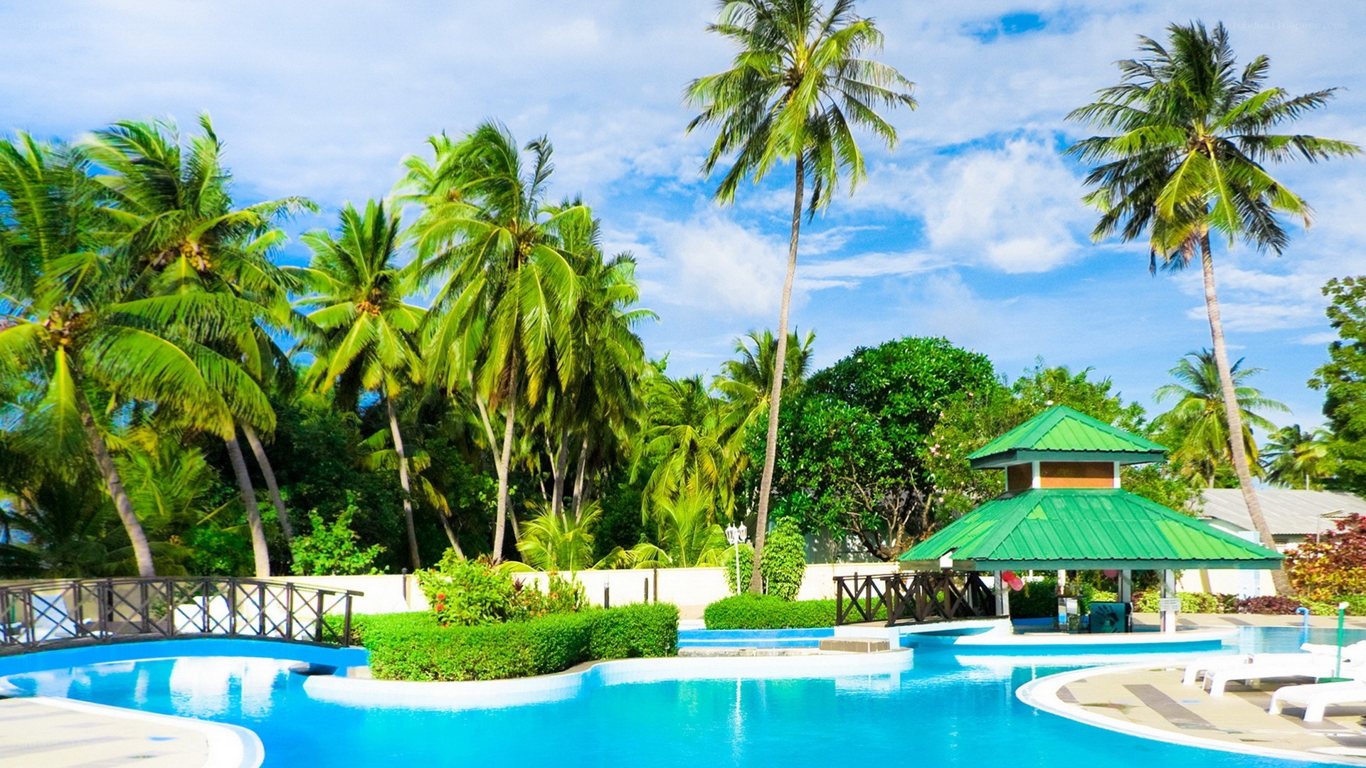 tropical resort pool area