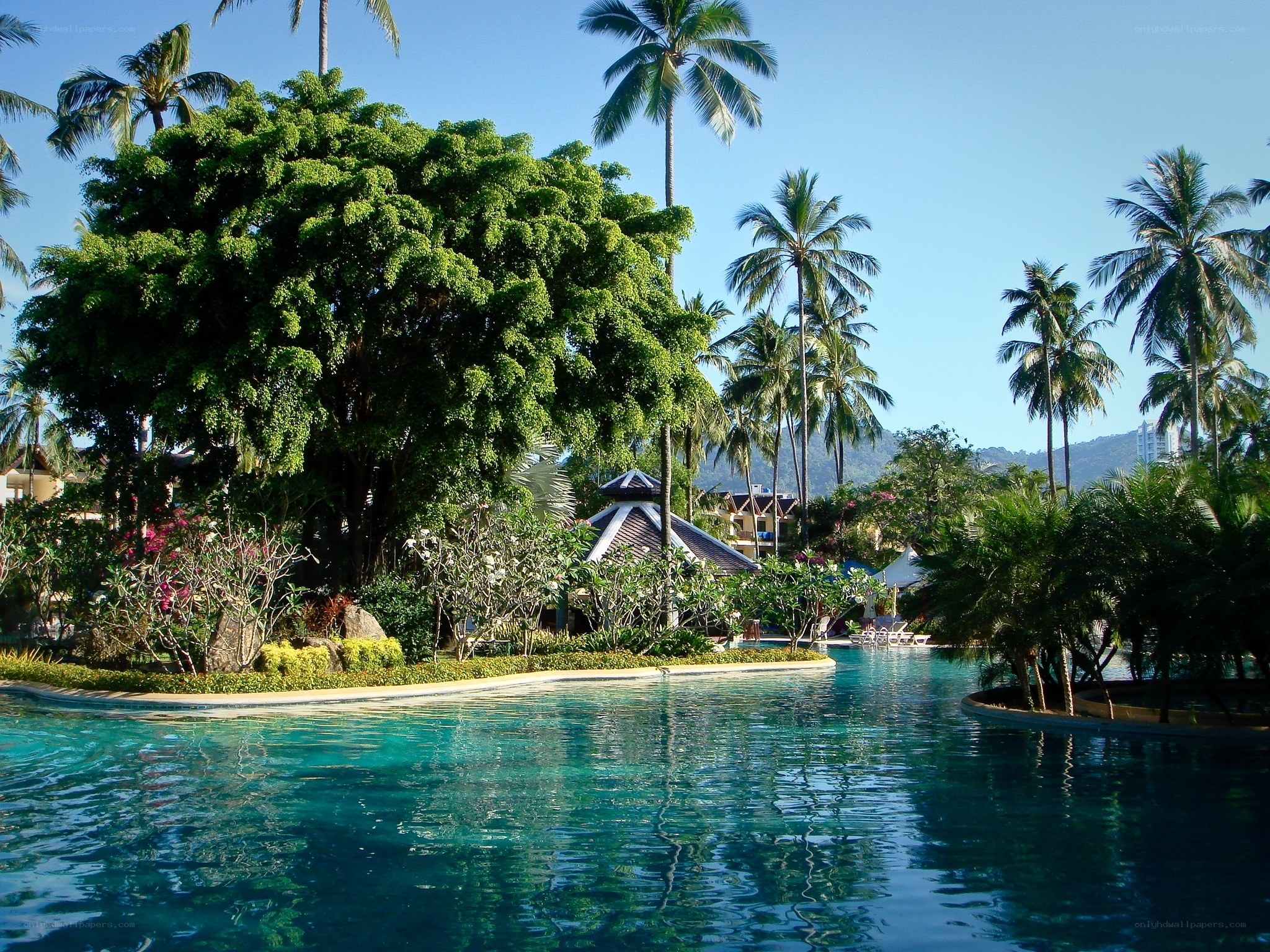 tropical resort pool area