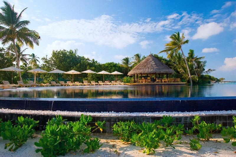 tropical resort pool area