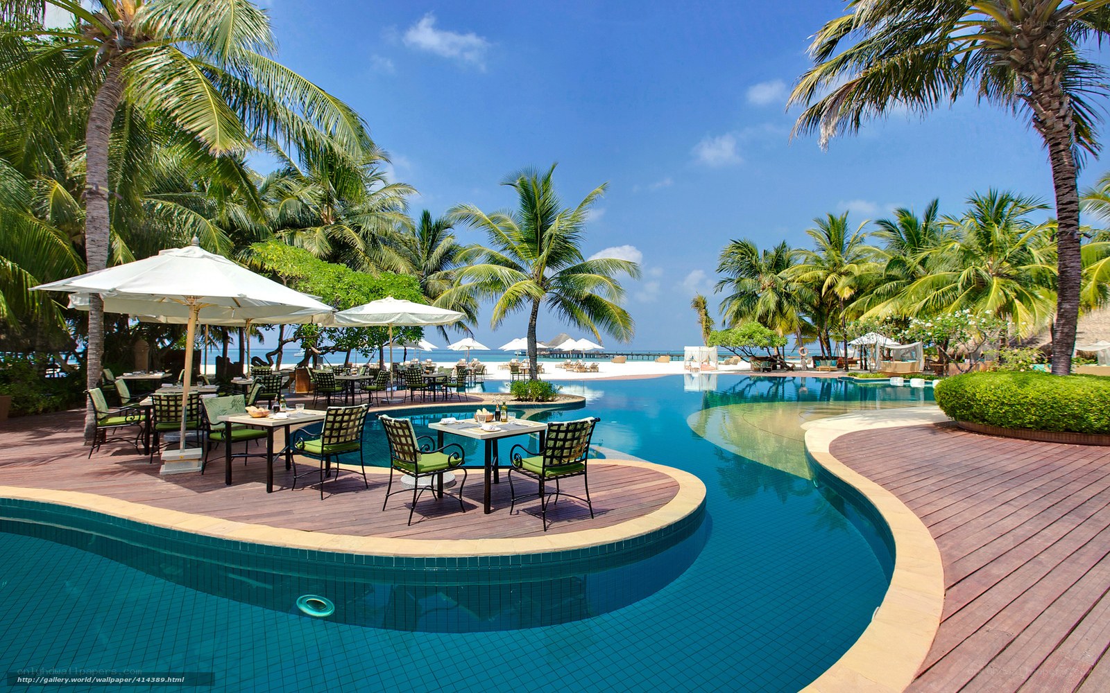 tropical resort pool area