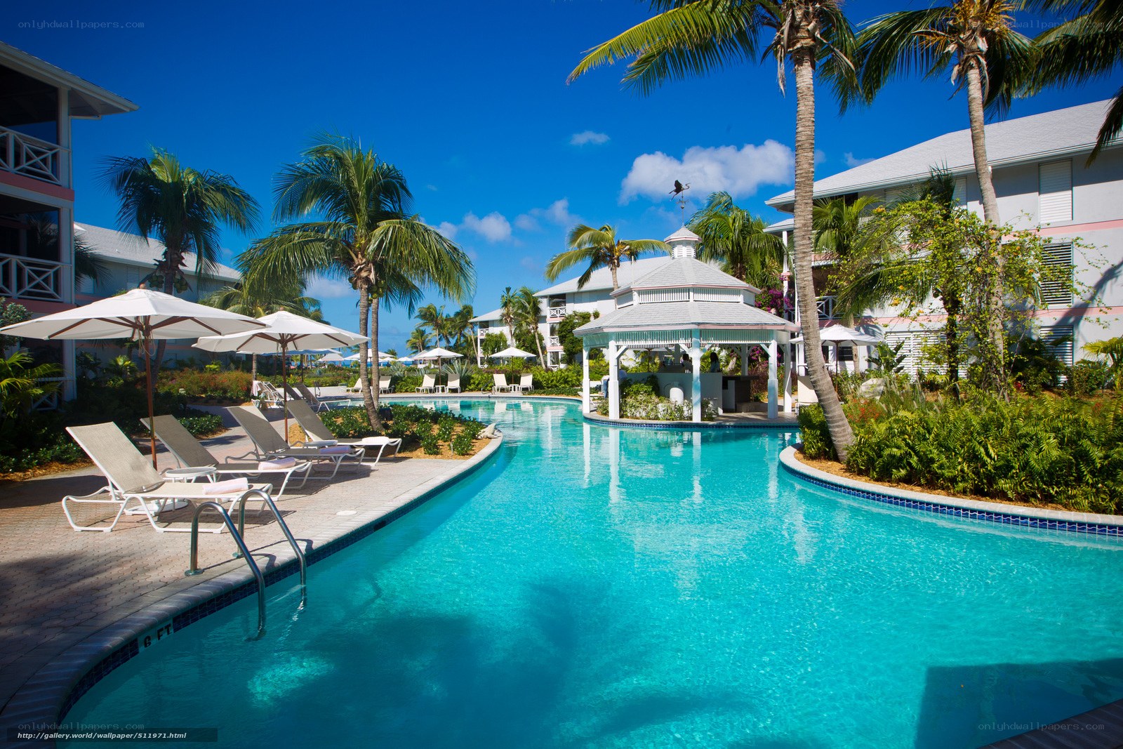 tropical resort pool area