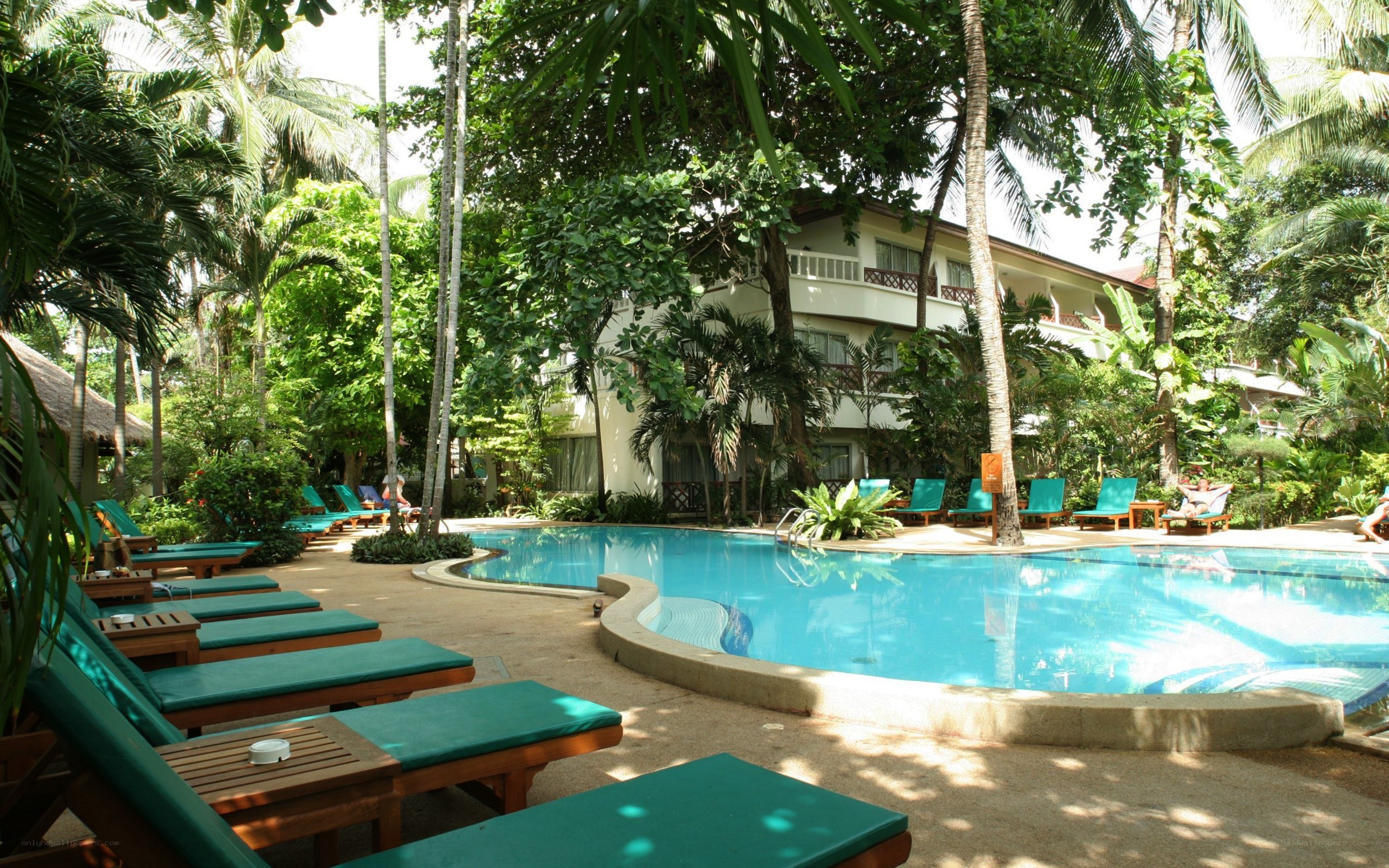 Tropical resort pool area