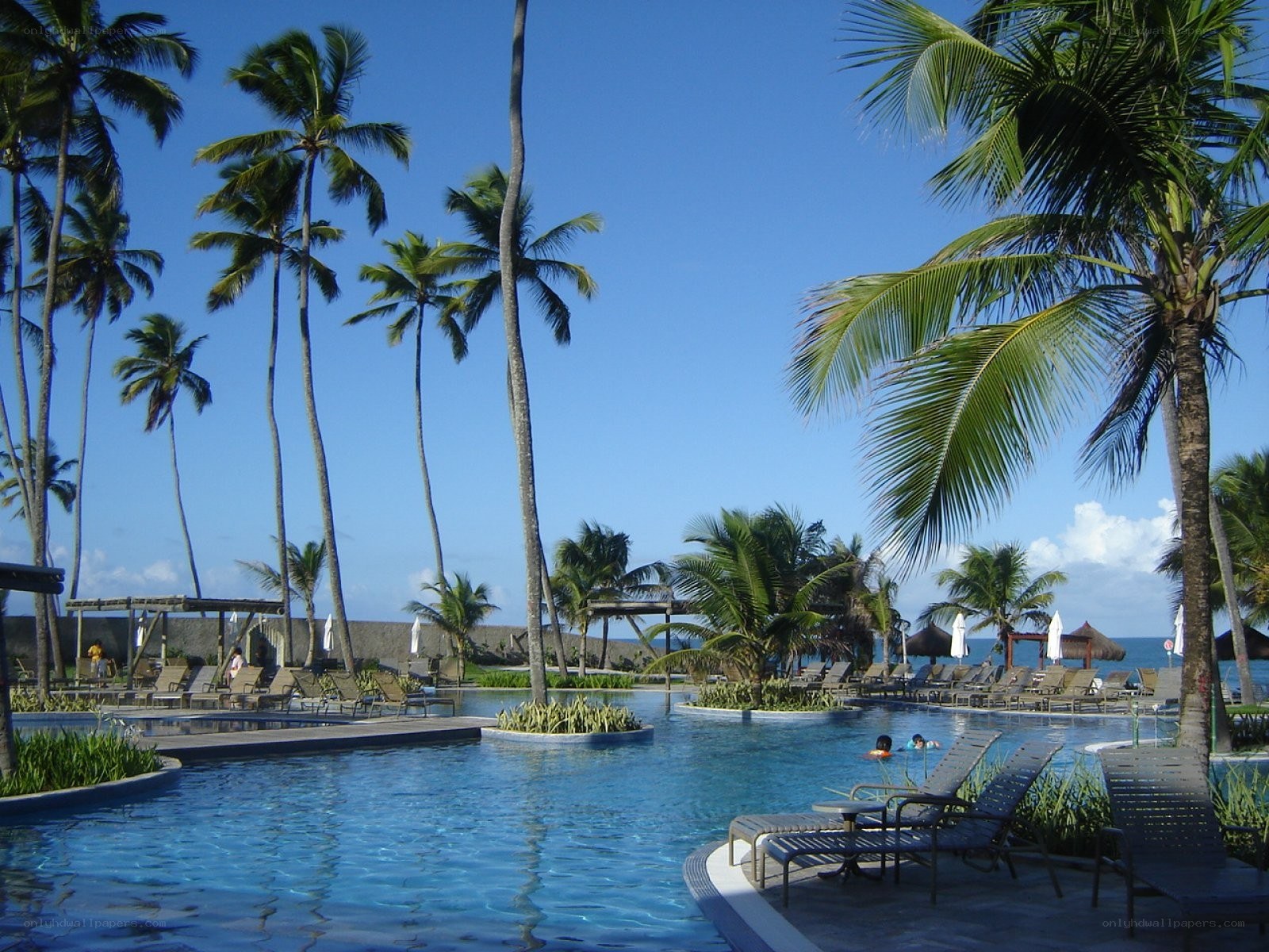 tropical resort pool area