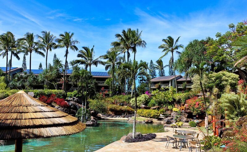 Tropical Resort Pool Area — Blue, Serene
