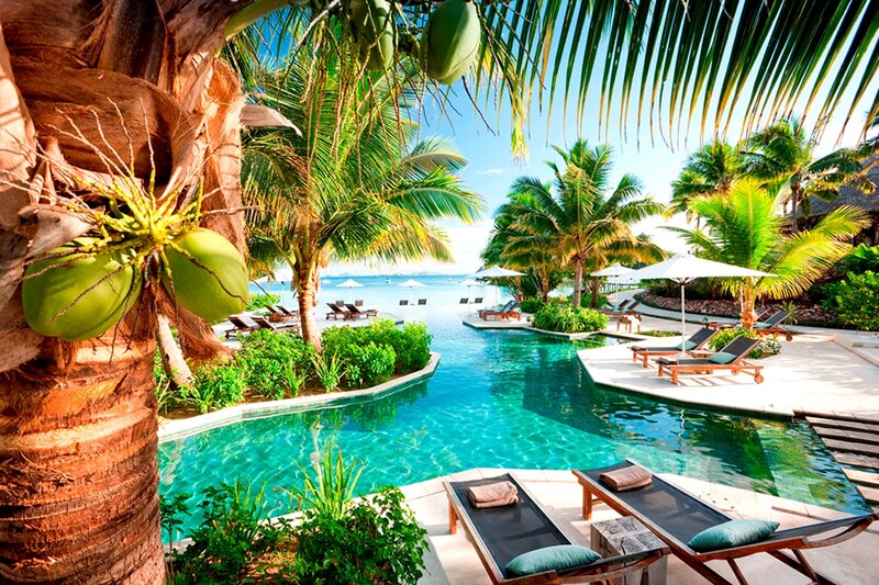 Tropical Resort Pool — Blue, Serene, Afternoon, Photograph, Coconut Palm