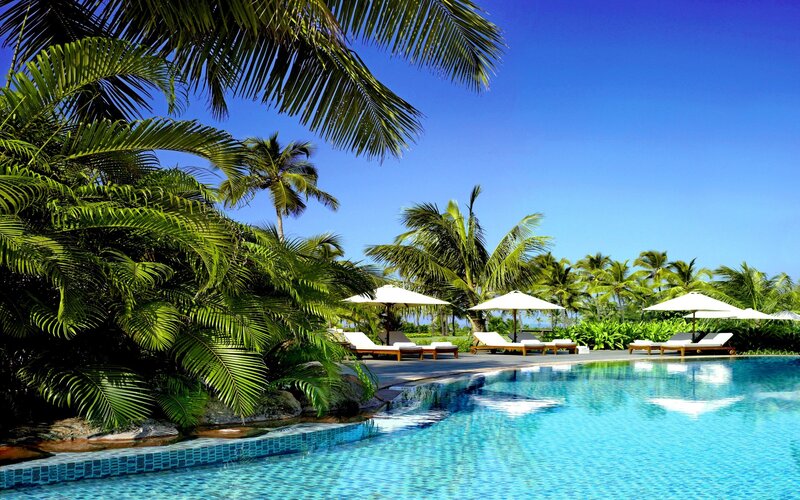 Tropical Resort Pool — Blue, Serene, Afternoon, Photograph, Palm Trees, Lounge Chairs, Umbrellas, Ocean