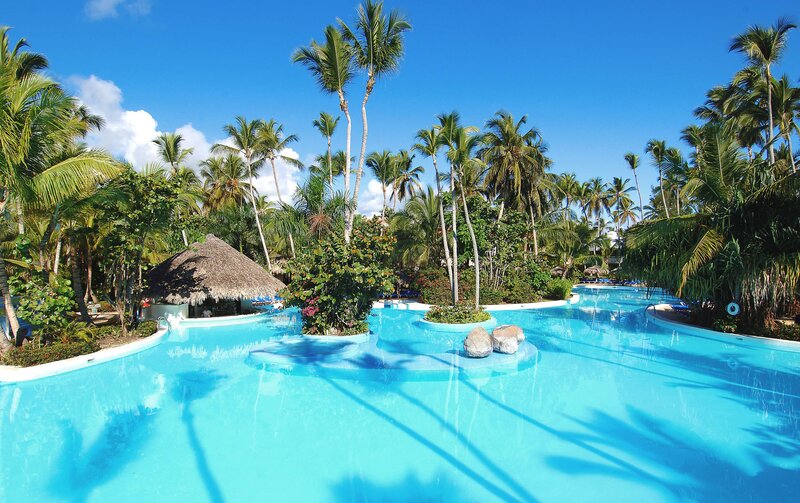 Tropical Resort Pool — Blue, Serene, Afternoon, Photograph, Palm Trees, Thatched Hut, Plants