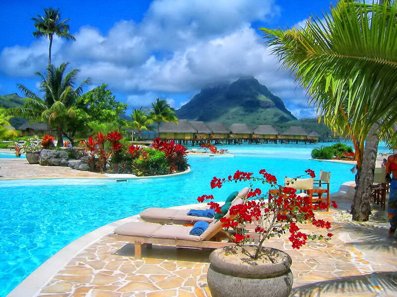 Tropical Resort Pool — Blue, Serene, Afternoon, Photograph, Palm Trees