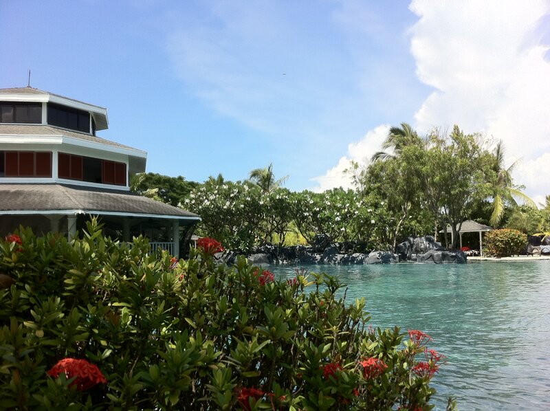 Tropical Resort Pool — Blue, Serene, Afternoon