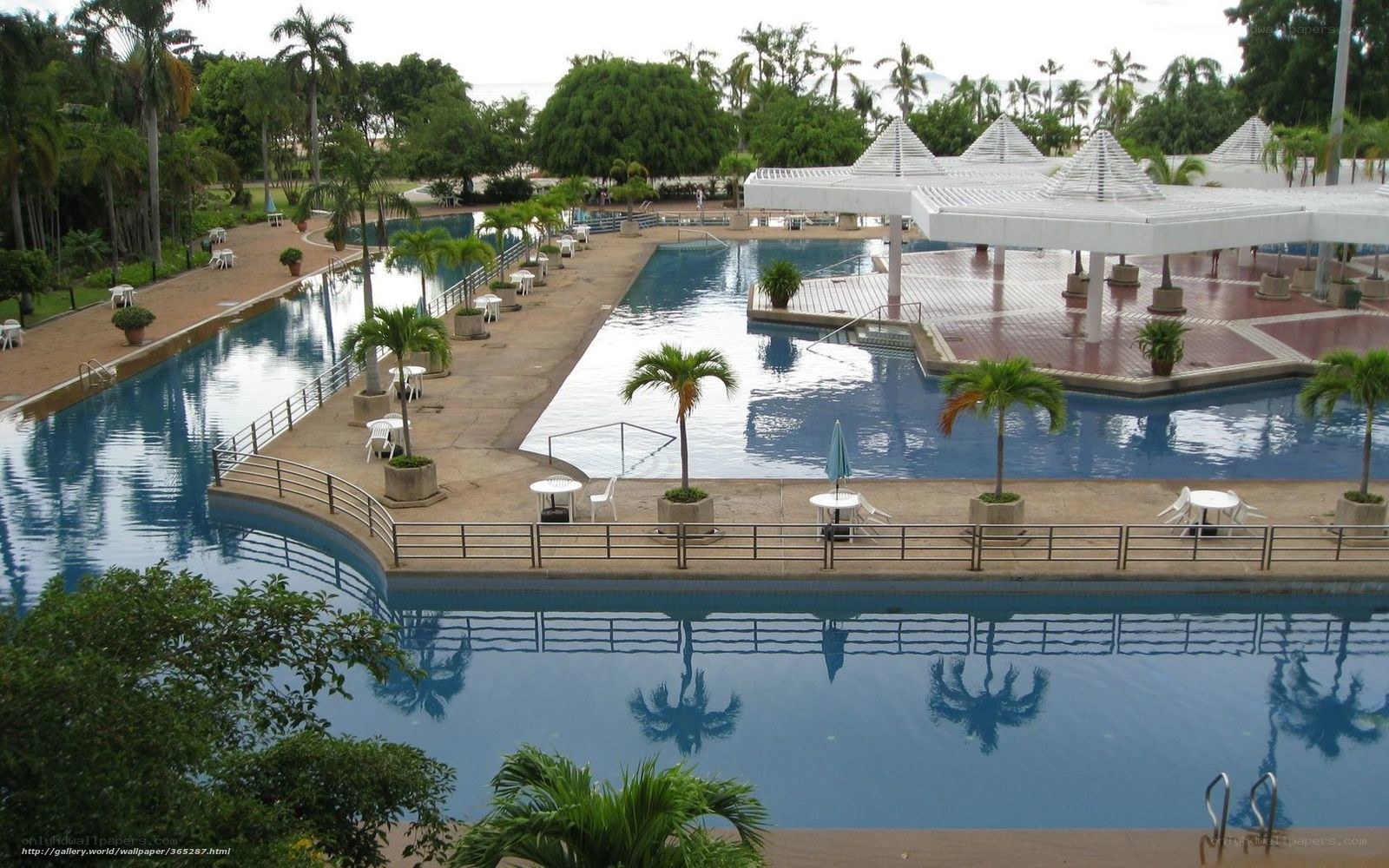 tropical resort pool complex